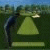 Flash Golf (354.83 KiB)