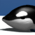 Penguin Shot (651.31 KiB)